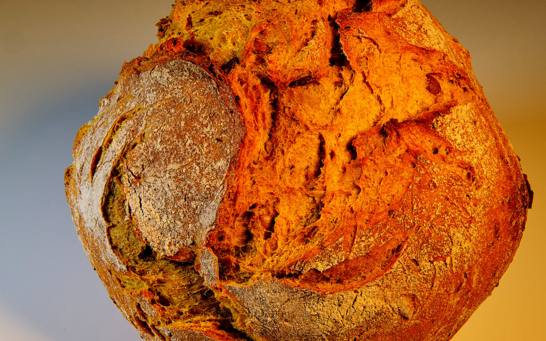 01420 Kürbis- Senf- Kruste